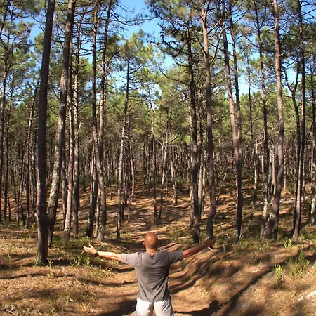 Riaencontros- T4 Junto Ria E Pinhal Villa *