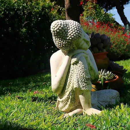 Riaencontros- T4 Junto Ria E Pinhal * Aveiro