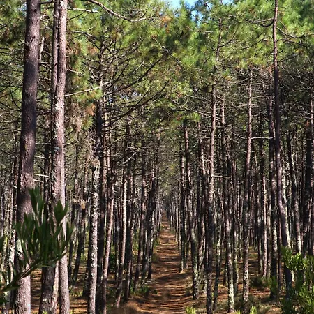 Riaencontros- T4 Junto Ria E Pinhal * Aveiro