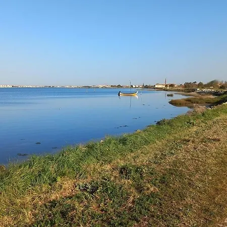 Riaencontros- T4 Junto Ria E Pinhal * Aveiro