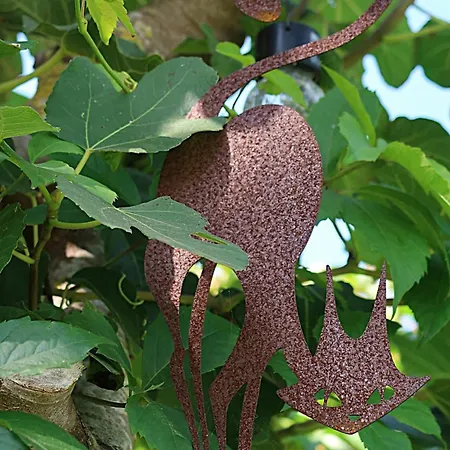 Riaencontros- T4 Junto Ria E Pinhal Aveiro