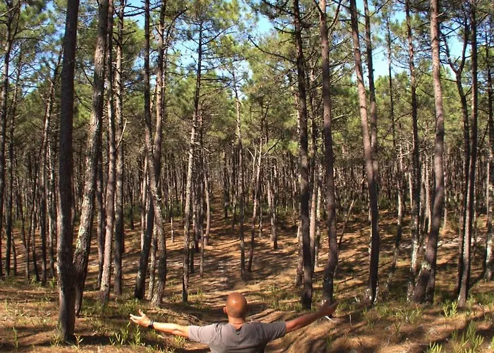 Riaencontros- T4 Junto Ria E Pinhal Villa *