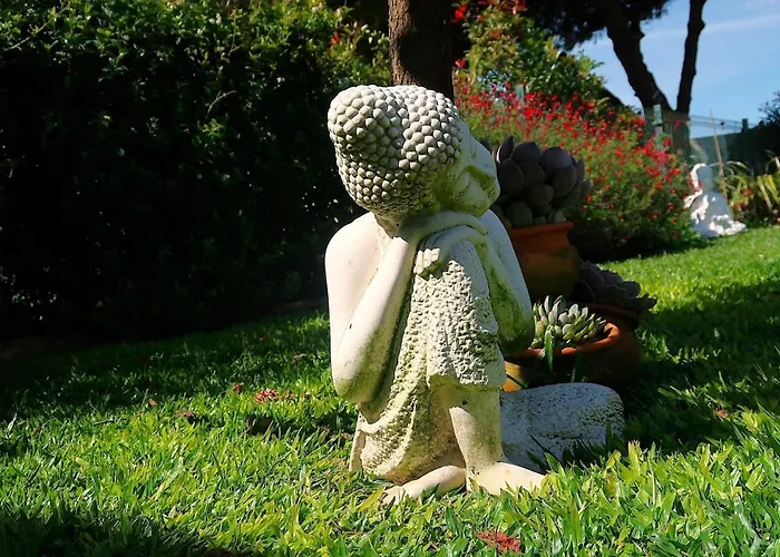 Riaencontros- T4 Junto Ria E Pinhal * Aveiro