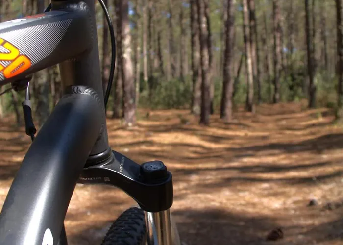 Riaencontros- T4 Junto Ria E Pinhal Villa *