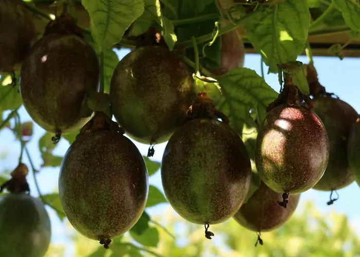 Riaencontros- T4 Junto Ria E Pinhal Villa Aveiro