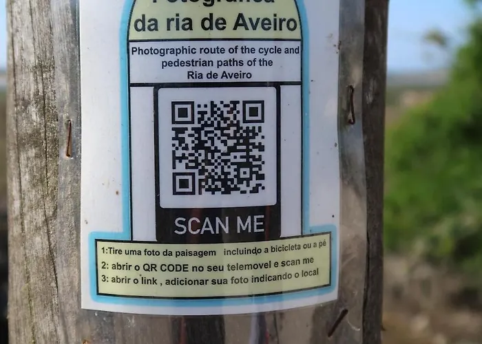 Villa Riaencontros- T4 Junto Ria E Pinhal