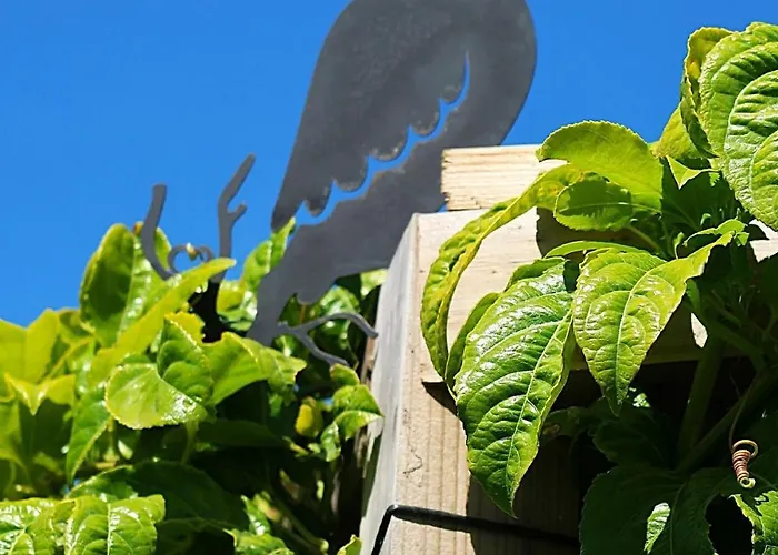 Riaencontros- T4 Junto Ria E Pinhal Villa Aveiro