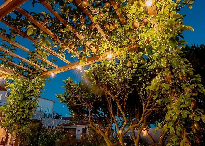 Riaencontros- T4 Junto Ria E Pinhal