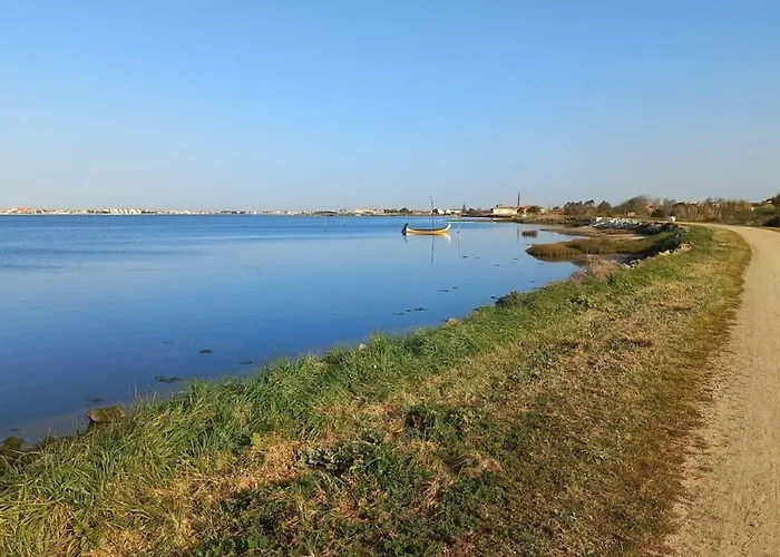 Riaencontros- T4 Junto Ria E Pinhal * Aveiro