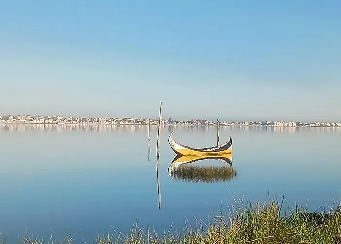 Riaencontros- T4 Junto Ria E Pinhal Aveiro