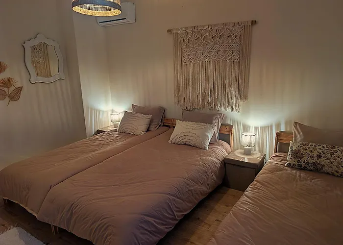 Riaencontros- T4 Junto Ria E Pinhal * Aveiro